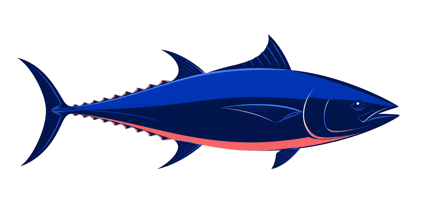 Illustrated bluefin tuna